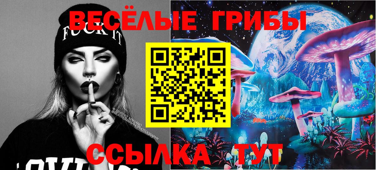 Псилоцибиновые грибы Cubensis  Вход с VPN  Нарткала  Галлюциногенные грибы GOLDEN TEACHER 